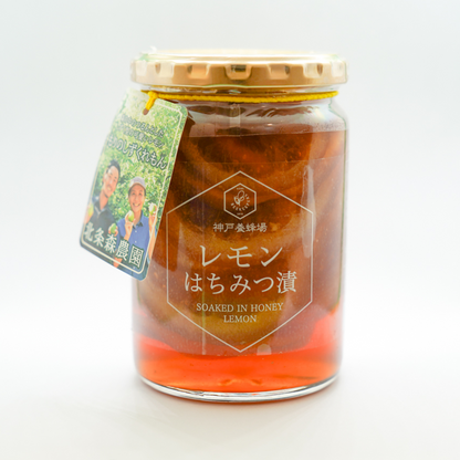 〈産直〉瀬戸内産レモン詰め合わせ