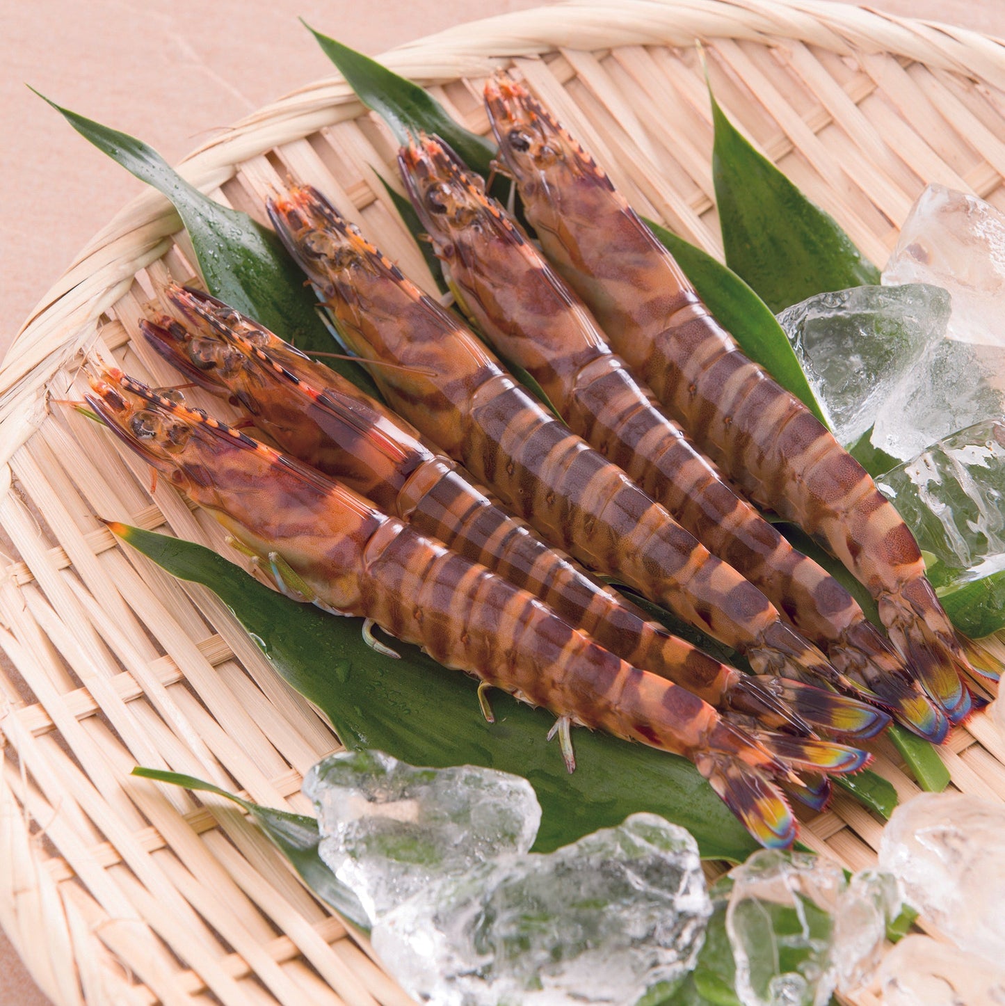 〈産直〉急速冷凍 還元活〆車海老 250g / 500g