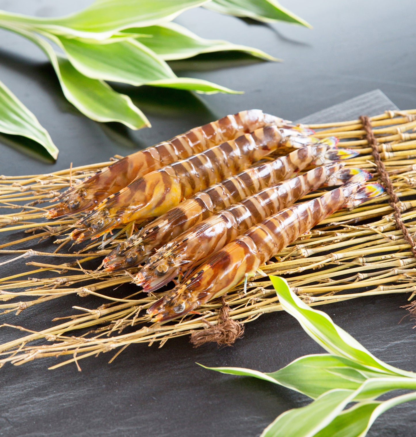 〈産直〉還元活車海老 300g / 500g