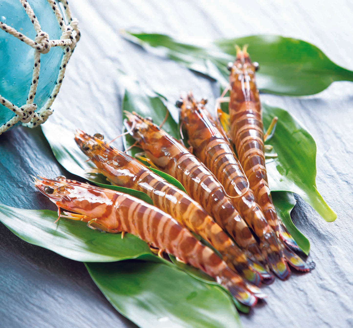 〈産直〉還元活車海老 300g / 500g