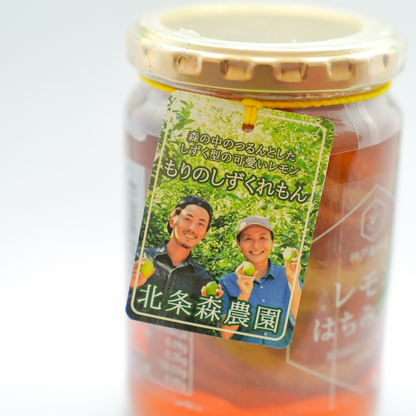 〈産直〉瀬戸内産レモン詰め合わせ