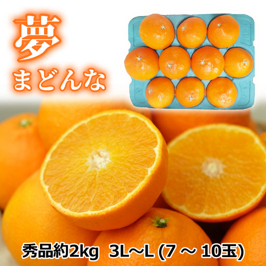 〈産直〉【早期予約8%OFF12/1まで】夢まどんな（秀品約2㎏）