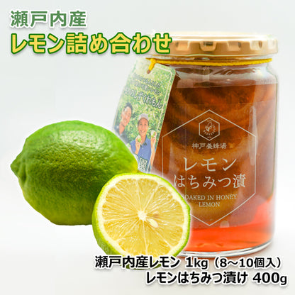 〈産直〉瀬戸内産レモン詰め合わせ