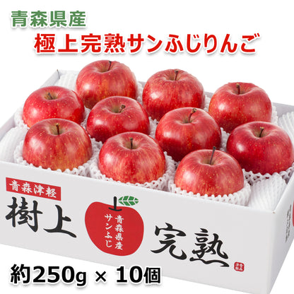 〈産直〉青森県産 樹上完熟サンふじりんご