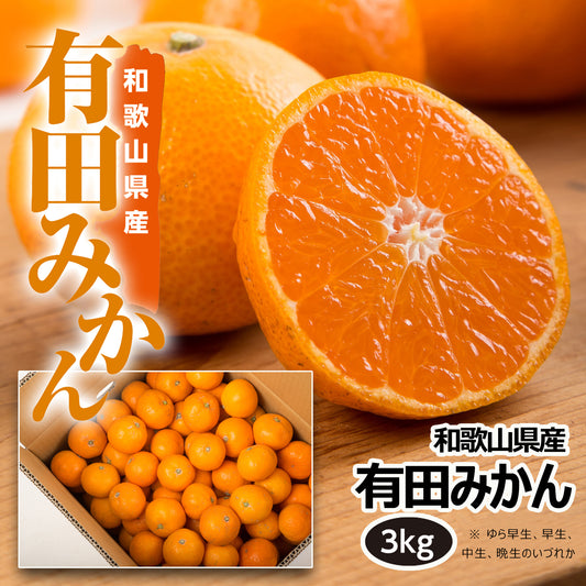 〈産直〉有田みかん 3kg