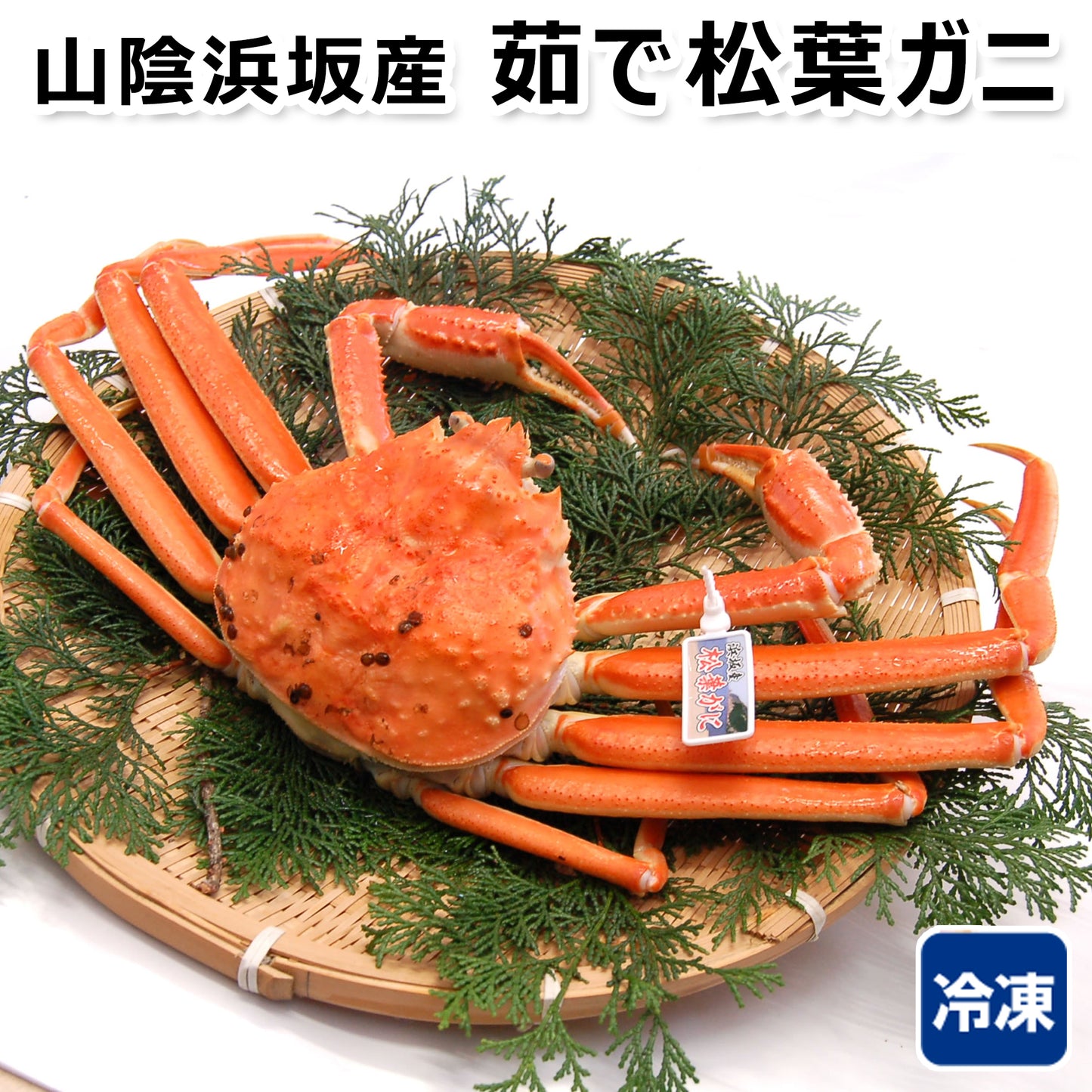 〈産直〉山陰浜坂産 茹で松葉ガニ【冷凍】