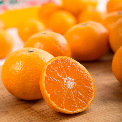 〈産直〉有田みかん 3kg