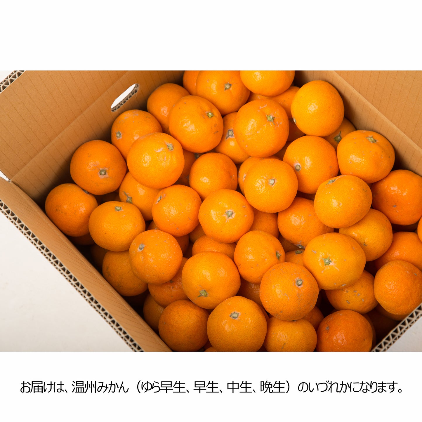 〈産直〉有田みかん 3kg