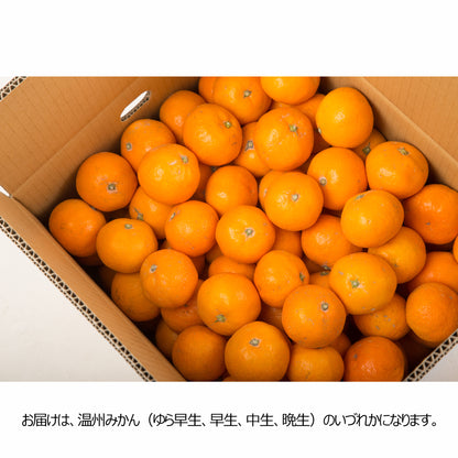 〈産直〉有田みかん 3kg