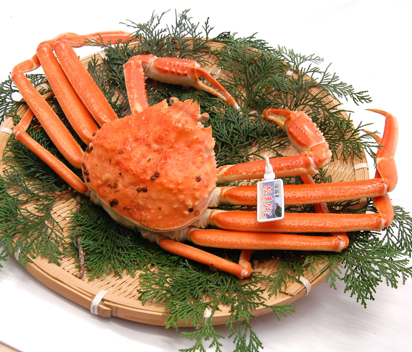 〈産直〉山陰浜坂産 茹で松葉ガニ【冷凍】