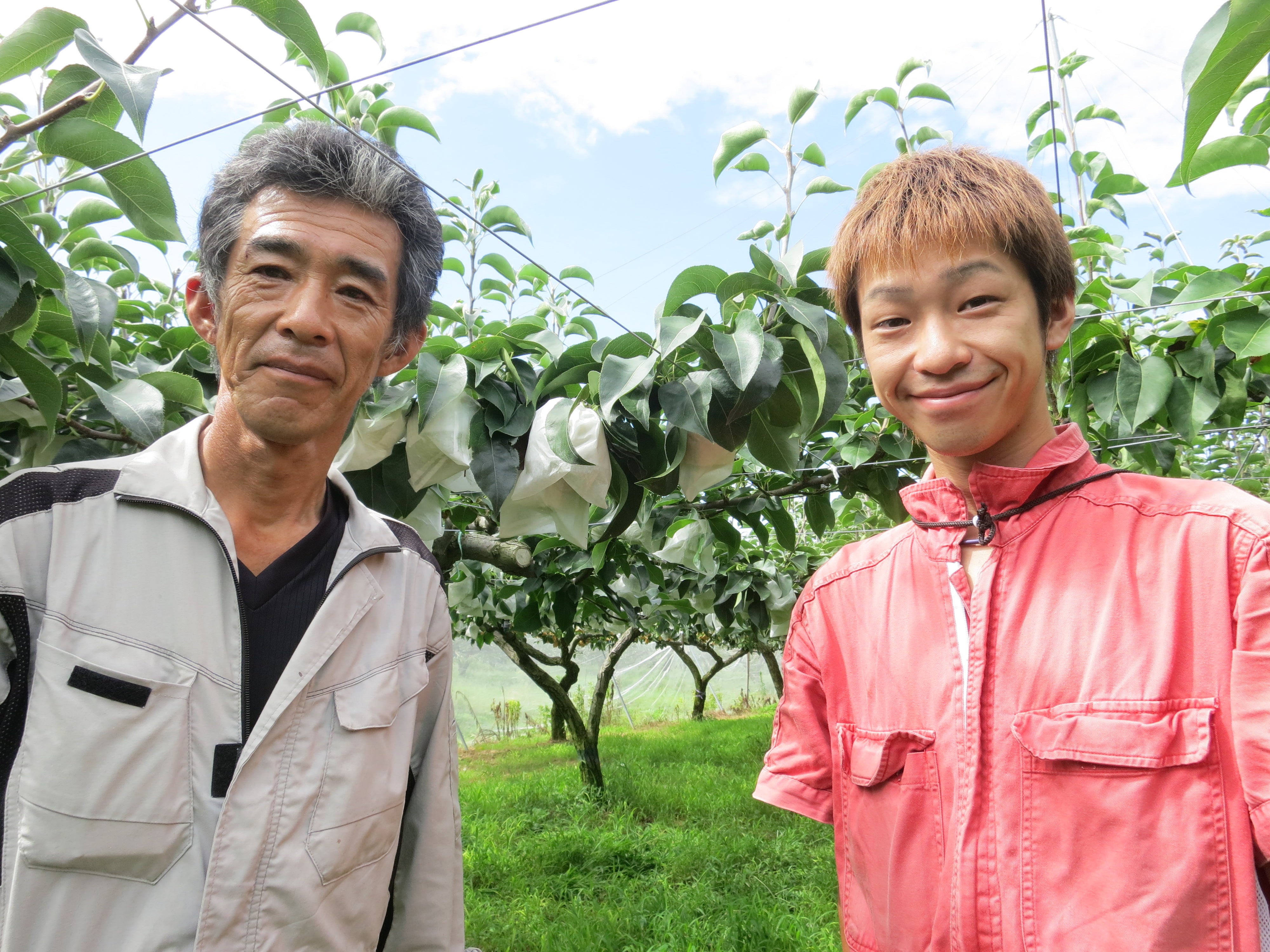 〈産直〉奈良県五條市「柿部会」の貯蔵柿