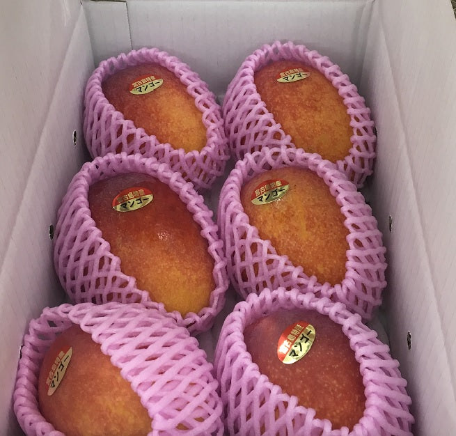【産直/予約商品】宮古島完熟マンゴー2kg（送料込）